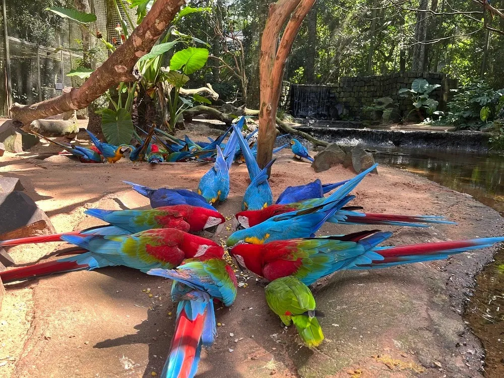 Parque de las Aves