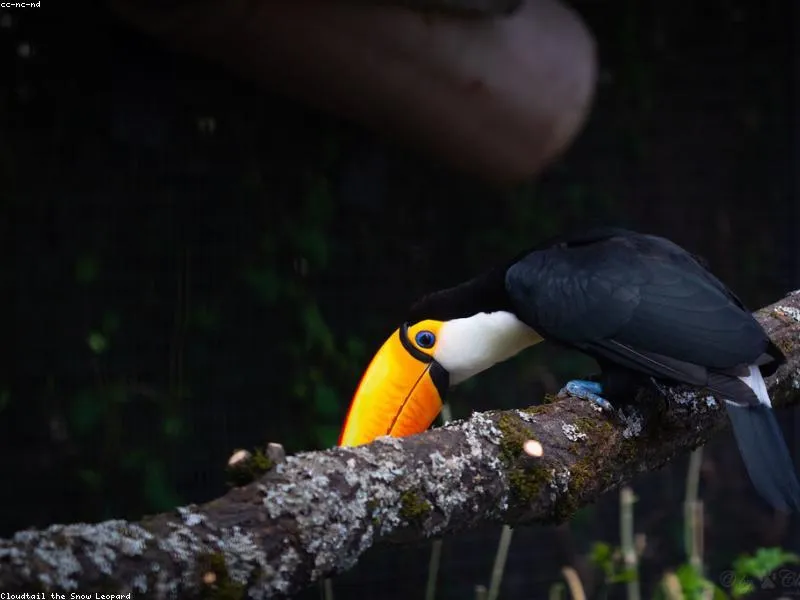 Parque de las Aves